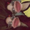 chiara_villegas_15