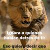 dennis.mairena62
