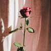 samar.chaker