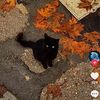 halloween_lover3303