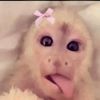 quasha.nsereko