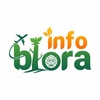 Infoblora Id