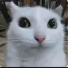 jellyisyummy7