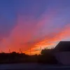 alex_331375
