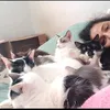 alinegatinhos25