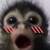 santibsofreaky