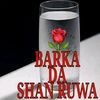 user8221395132541