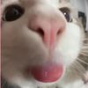 alexa_tam5