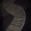 loyal2aylaa