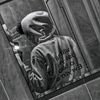 yanfortis_