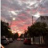 estefani.guerrero64