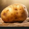 mr.potato2429