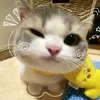 this_is_alii