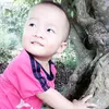 dongnhatphuc