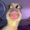fhnuril