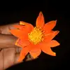 sylvia.jay5
