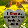 user8777215683852