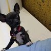 chilindrina8609