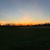liel_03