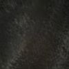 user7307819292884