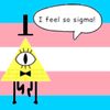 bill.cipher7985