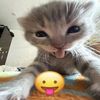 khaliz._