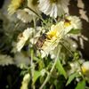 lensworks.photos