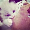 mairaamorable