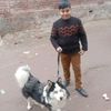 rana.zaheer377