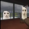 mamakoko_prime