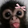 alison.esthefany8