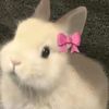 clairebear12322