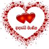 doni.doni5486