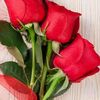 najam.najma212