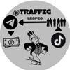 traffic_leopeo