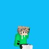 minecraft.animati45