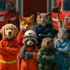 paw1_1rescue