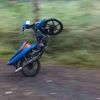 raditya6955