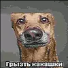 user57807884238811