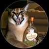 casperpraime777