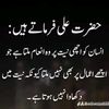 adnanjutt6983