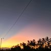 sukatobrut551
