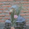 Azzah