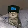 rastyshka05