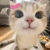 meowlieyx