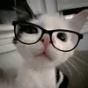 hahahahaha_cc0