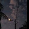 moon33319