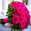 user57023802736126
