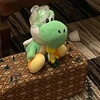 yoshi_gym