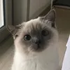 exkviti_001